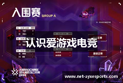 认识爱游戏电竞
